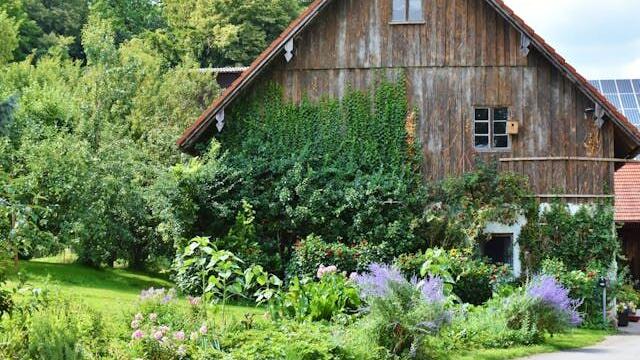 Techniques for Designing Cosy and Charming Farmhouse Look